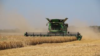 Les prix du blé ont très rapidement réagi après la nouvelle attaque russe sur une zone portuaire du Danube, dans la nuit du 23 au 24 juillet 2023.