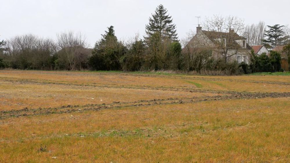 A la suite des conclusions rendues par l'Efsa sur le glyphosate, le Copa-Cogeca s'est réjoui de l'absence de domaine de préoccupation, et il réaffirme soutenir l'approche de l'autorité de sécurité des aliments.