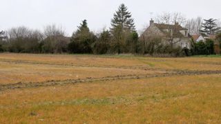 A la suite des conclusions rendues par l'Efsa sur le glyphosate, le Copa-Cogeca s'est réjoui de l'absence de domaine de préoccupation, et il réaffirme soutenir l'approche de l'autorité de sécurité des aliments. A la suite des conclusions rendues par l'Efsa sur le glyphosate, le Copa-Cogeca s'est réjoui de l'absence de domaine de préoccupation, et il réaffirme soutenir l'approche de l'autorité de sécurité des aliments.