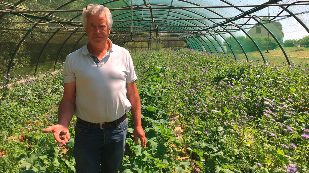 Philippe Maurice ramasse 120 000 petits et gros gris par an sous un tunnel équipé d’une clôture électrique pour éviter que les escargots ne rampent sur le filet, et d’un grillage enterré pour éviter aux prédateurs (rongeurs, reptiles…) d’entrer.