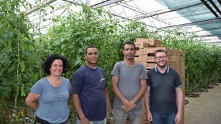 De gauche à droite Line Jasmin (responsable du personnel), Bassidi, Rachid (deux des quatre travailleurs saisonniers marocains) et Anthony Lafage (associé de la SCEA des Serres du Fréty).
