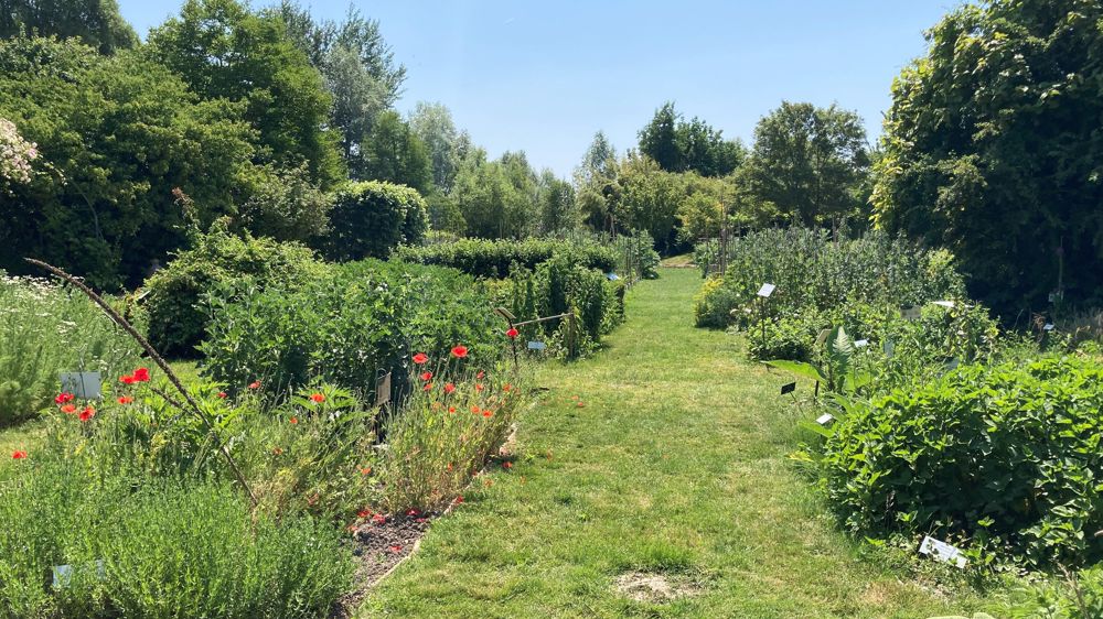 Le jardin botanique de Marnay-sur-Seine comporte aussi une section potagère.