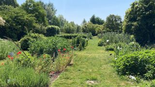Le jardin botanique de Marnay-sur-Seine comporte aussi une section potagère. Le jardin botanique de Marnay-sur-Seine comporte aussi une section potagère.