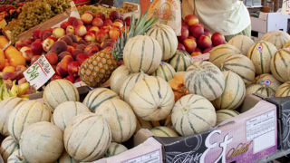 Estimée à 273 370 tonnes, la production française de melons pour l'année 2023 diminuerait de 8 % par rapport à 2022. Estimée à 273 370 tonnes, la production française de melons pour l'année 2023 diminuerait de 8 % par rapport à 2022.