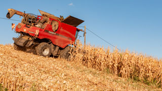 Au 1er août 2023, le ministère de l'Agriculture estime les rendements du maïs, du tournesol et du soja en hausse. Au 1er août 2023, le ministère de l'Agriculture estime les rendements du maïs, du tournesol et du soja en hausse.