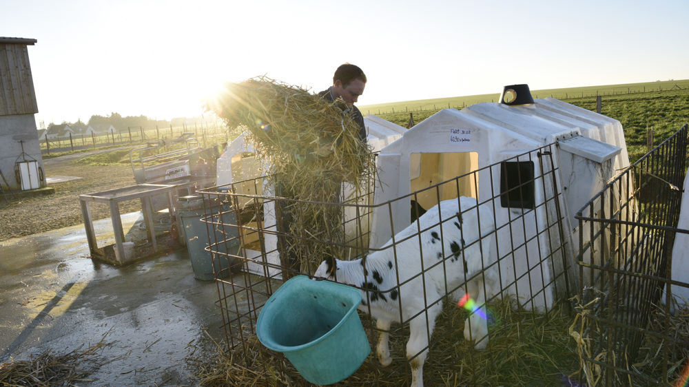 Une nouvelle instabilité gagnera la France ce week-end, entraînant l'arrivée d'une perturbation orageuse sur un axe sud-ouest/nord-est.