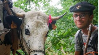 Corentin Hubert parcourt 700 km à pied, accompagné de son grand-père et d'une vache du nom de Modestine. Corentin Hubert parcourt 700 km à pied, accompagné de son grand-père et d'une vache du nom de Modestine.