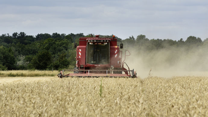 Moisson de blé à l'été 2023 près de Tours (Indre-et-Loire).