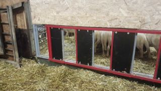 Raphaël et Emilie Eyraud ont installé une barrière (rouge) équipée de vérins électriques dans le passage des agneaux. Elle est actionnable via une application installée sur le smartphone. Raphaël et Emilie Eyraud ont installé une barrière (rouge) équipée de vérins électriques dans le passage des agneaux. Elle est actionnable via une application installée sur le smartphone.