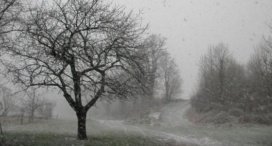 Neige dans la campagne française