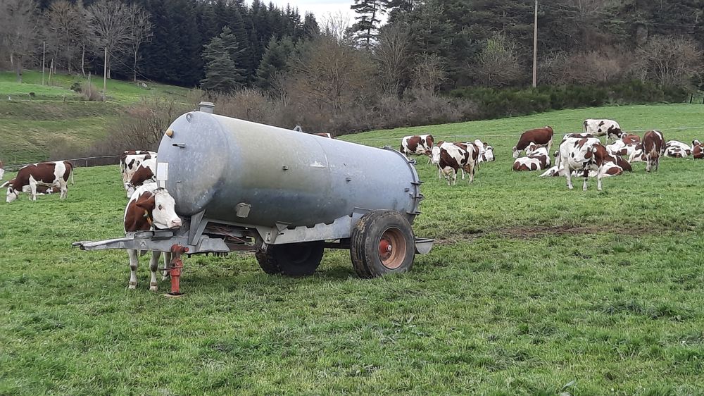 Idéalement, le bac doit être installé dans une zone ombragée, mais pas sous les arbres à cause du risque de concentration des animaux et des problèmes sanitaires en découlant (cellules, mammites).