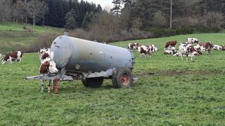 Idéalement, le bac doit être installé dans une zone ombragée, mais pas sous les arbres à cause du risque de concentration des animaux et des problèmes sanitaires en découlant (cellules, mammites). Idéalement, le bac doit être installé dans une zone ombragée, mais pas sous les arbres à cause du risque de concentration des animaux et des problèmes sanitaires en découlant (cellules, mammites).