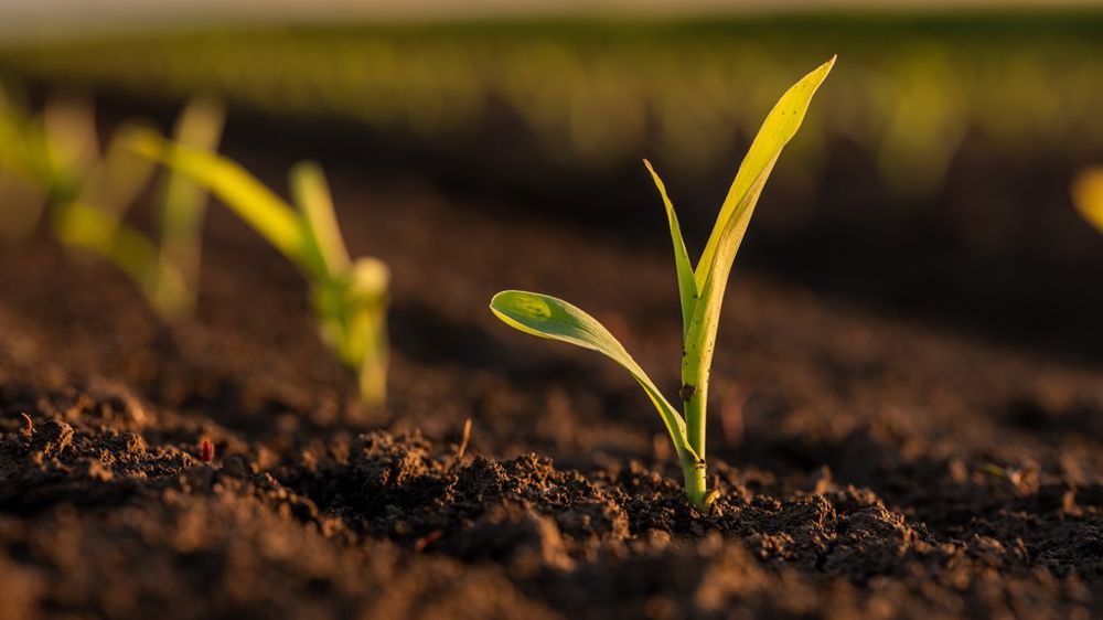 Quelle efficacité attendre des biosolutions ?