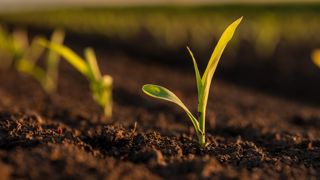 Quelle efficacité attendre des biosolutions ? Quelle efficacité attendre des biosolutions ?