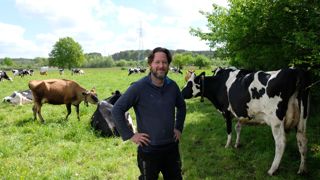 Germain Coulon a replanté 850 mètres de haies il y a deux ans. Outre leur rôle d’abri pour la faune sauvage, l’éleveur y voit d’abord une source d’ombrage pour protéger vaches et cultures, ainsi qu’un approvisionnement en bois de chauffage pour sa maison et l’eau nécessaire au bloc traite.