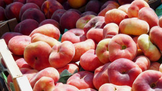 La production de pêches, nectarines, brugnons et pavies reculerait de 1 % sur un an. La production de pêches, nectarines, brugnons et pavies reculerait de 1 % sur un an.