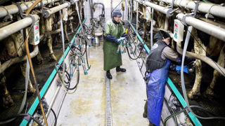 En 2024, Sodiaal proposera des aides au service de remplacement, au recrutement d'apprentis ou à la formation au management. En 2024, Sodiaal proposera des aides au service de remplacement, au recrutement d'apprentis ou à la formation au management.