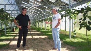« Le calepinage du toit procure un ensoleillement à 30 % », résume Cédric Brana, responsable de la filière du kiwi chez Euralis, à droite de Christophe Congues.