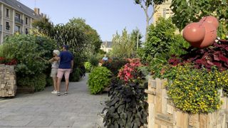 Un jardin éphémère inédit a été aménagé près de la mairie, avec quatre espaces de curiosités et plus d’une centaine de végétaux à regarder, à toucher, à humer… pour l’éveil des sens, à l’intention des habitants et des touristes.