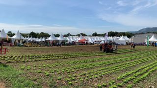 Près de 21 000 visiteurs sont attendus pour cette neuvième édition de Tech et Bio à Bourg-lès-Valence. Près de 21 000 visiteurs sont attendus pour cette neuvième édition de Tech et Bio à Bourg-lès-Valence.
