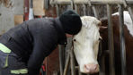Déclaration de Dublin : « Les animaux d’élevage et de rente sont irremplaçables pour maintenir un flux circulaire de matières dans l’agriculture. »