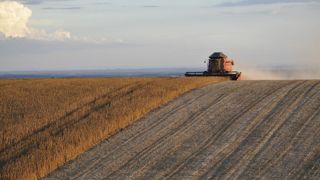 Les associations de producteurs du Brésil, du Paraguay et de l'Argentine mènent la fronde face à l'Union européenne sur la déforestation. Les associations de producteurs du Brésil, du Paraguay et de l'Argentine mènent la fronde face à l'Union européenne sur la déforestation.
