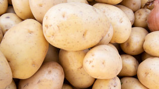 Les marchés à l'exportation des pommes de terre semble suffisamment dynamique pour absorber la production. Les marchés à l'exportation des pommes de terre semble suffisamment dynamique pour absorber la production.