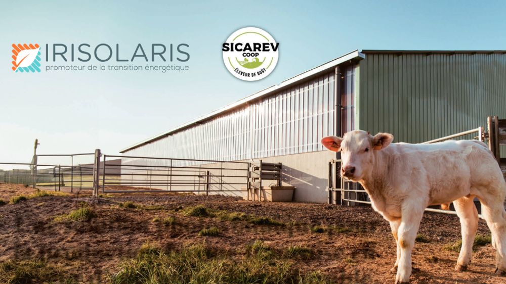 Une solution photovoltaïque pour la production bovine française