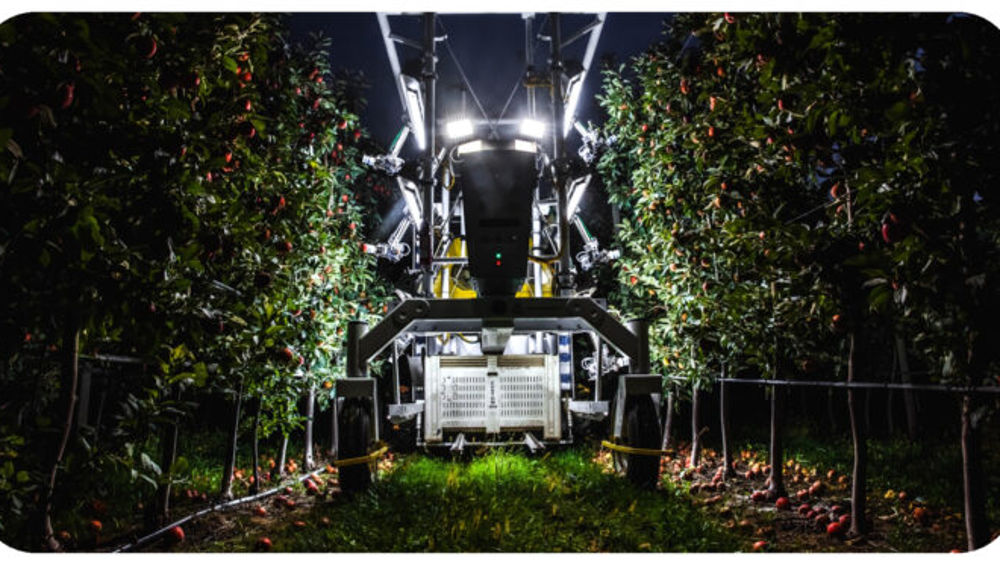 Récolteuse à fruits automatique. 