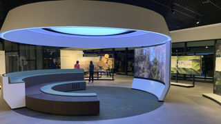 Une réalisation ultramoderne et immersive dans l'univers de la marque Stihl  et de la forêt.