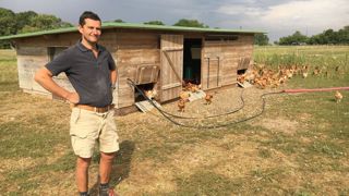 « Pour une bonne qualité gustative de la chair, les poulets doivent dépasser les 100 jours d'élevage », estime Charles Monville. « Pour une bonne qualité gustative de la chair, les poulets doivent dépasser les 100 jours d'élevage », estime Charles Monville.