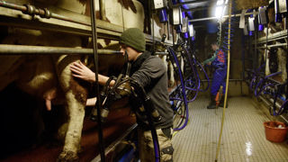 Jeunes Agriculteurs pointe des montants réduits d'aides Pac pour la campagne 2023, notamment pour l’aide complémentaire au jeune agriculteur. Jeunes Agriculteurs pointe des montants réduits d'aides Pac pour la campagne 2023, notamment pour l’aide complémentaire au jeune agriculteur.