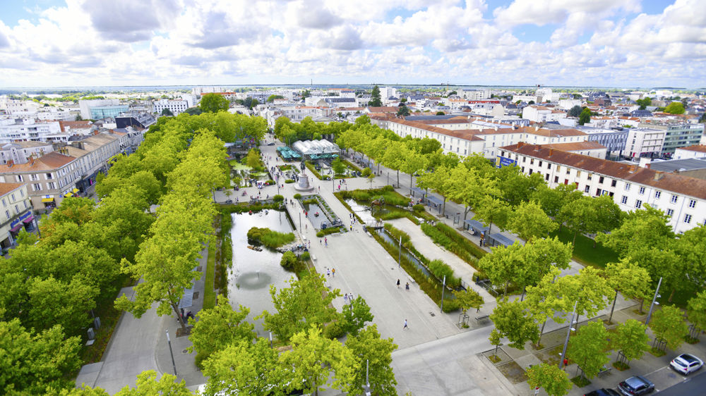Réaménagée il y a une dizaine d’années, la place Napoléon est devenue à la fois le cœur de la vie urbaine de La Roche-sur-Yon, mais également un lieu d’animation et de sensibilisation à la biodiversité et à la nature en ville.