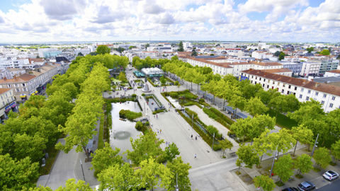 Réaménagée il y a une dizaine d’années, la place Napoléon est devenue à la fois le cœur de la vie urbaine de La Roche-sur-Yon, mais également un lieu d’animation et de sensibilisation à la biodiversité et à la nature en ville. Réaménagée il y a une dizaine d’années, la place Napoléon est devenue à la fois le cœur de la vie urbaine de La Roche-sur-Yon, mais également un lieu d’animation et de sensibilisation à la biodiversité et à la nature en ville.