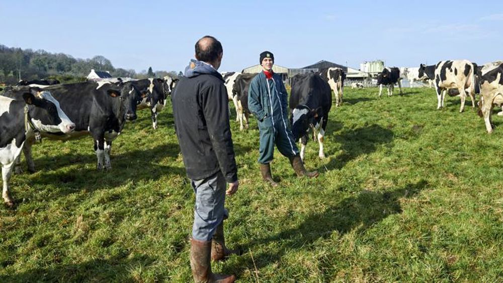 Mickaël Saulue, éleveur laitier, a profité d’un dispositif d’Ocapiat pour prendre le temps de former ses nouveaux salariés. (Photo d’illustration) © Thierry Pasquet