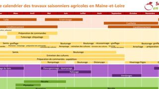Un extrait du calendrier interactif de Saisons en Anjou. © Clémentine Chauveau/Anefa 49 Un extrait du calendrier interactif de Saisons en Anjou. © Clémentine Chauveau/Anefa 49