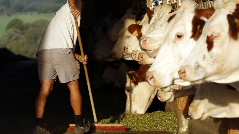 Un producteur en AOP Comté à Vernierfontaine, dans le Doubs. © Jérôme Chabanne