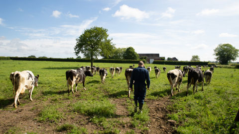 Professionnaliser la gestion des ressources humaines est un levier indispensable pour un collectif efficace. © D. Paillard