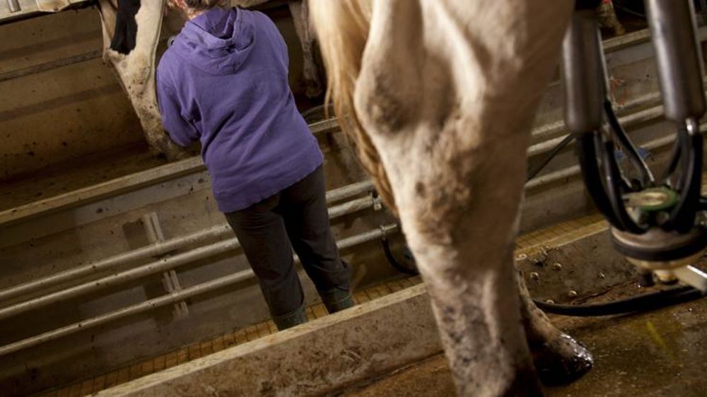 L’agricultrice a été assignée en justice par l’une de ses salariées, à la suite de son licenciement. © Sébastien Champion