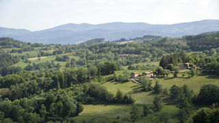 La Région Auvergne-Rhône-Alpes figure parmi les Régions qui bénéficient le plus d'une adaptation locale de la Pac, exlique le Comité européen des Régions. La Région Auvergne-Rhône-Alpes figure parmi les Régions qui bénéficient le plus d'une adaptation locale de la Pac, exlique le Comité européen des Régions.