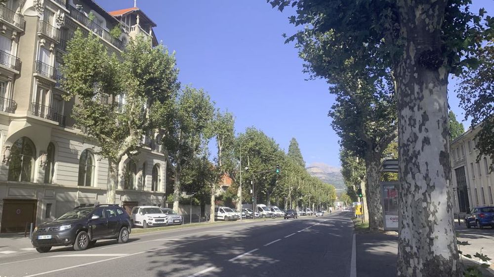 Dans le cadre d'un programme dédié du Conseil de l’Europe, le second colloque « La beauté essentielle des allées d'arbres »pourrait contribuer à l’amorce d’un « itinéraire culturel européen des allées ».