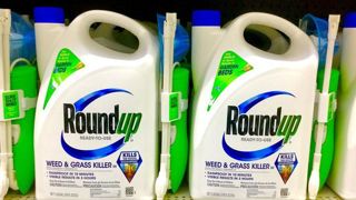 Selon l'AFP, Bayer ne « comprend pas » la décision du tribunal de San Diego et fait appel contre la condamnation d'indemnisation d'un plaignant à hauteur de 332 millions de dollars. Selon l'AFP, Bayer ne « comprend pas » la décision du tribunal de San Diego et fait appel contre la condamnation d'indemnisation d'un plaignant à hauteur de 332 millions de dollars.