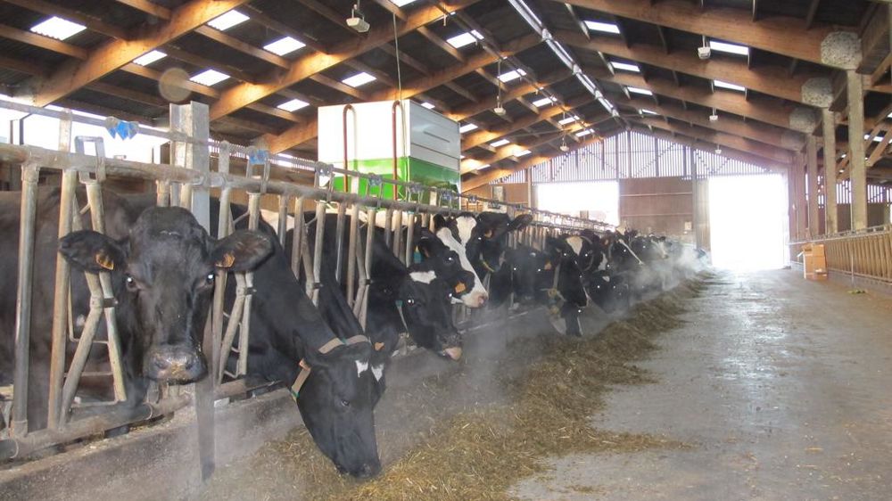 Dans une logique de complémentation de précision, l’enjeu de la recherche est de pouvoir identifier en élevage les profils d’animaux en fonction de leurs réponses aux apports de concentré de production en plus ou en moins.