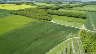 Le périmètre d'activité de l'association concernera les filières agricoles, mais aussi non-agricoles. Le périmètre d'activité de l'association concernera les filières agricoles, mais aussi non-agricoles.