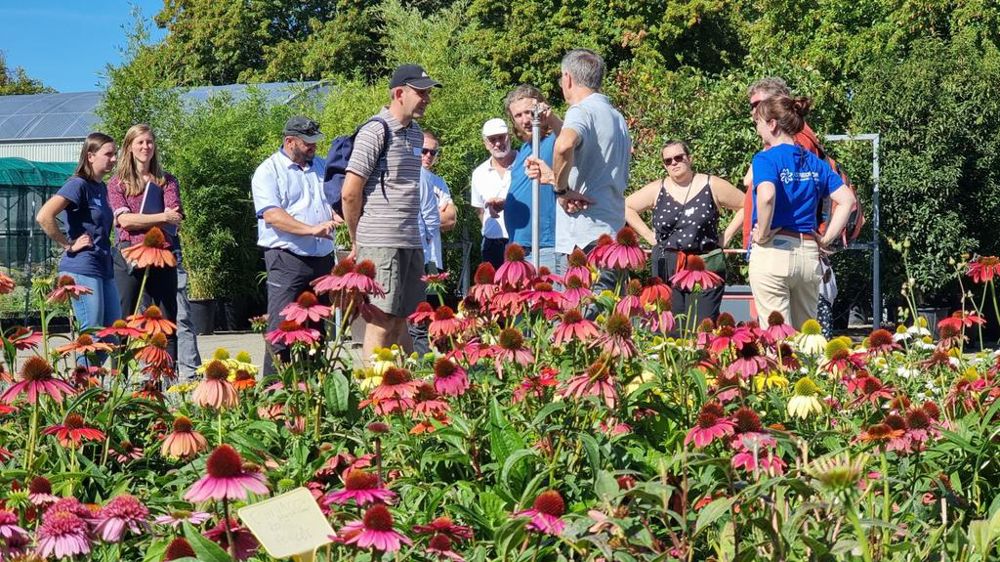 Le 5 septembre 2023, l’équipe alsacienne d’ASTREDHOR a organisé une visite d’essais mis en place aux services espaces verts de Mulhouse (68), notamment sur les substrats sans tourbes, l'adaptation de l'arrosage, les hydro rétenteurs... Une rencontre rassemblant adhérents, partenaires et fournisseurs. Le 5 septembre 2023, l’équipe alsacienne d’ASTREDHOR a organisé une visite d’essais mis en place aux services espaces verts de Mulhouse (68), notamment sur les substrats sans tourbes, l'adaptation de l'arrosage, les hydro rétenteurs... Une rencontre rassemblant adhérents, partenaires et fournisseurs.