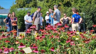 Le 5 septembre 2023, l’équipe alsacienne d’ASTREDHOR a organisé une visite d’essais mis en place aux services espaces verts de Mulhouse (68), notamment sur les substrats sans tourbes, l'adaptation de l'arrosage, les hydro rétenteurs... Une rencontre rassemblant adhérents, partenaires et fournisseurs. Le 5 septembre 2023, l’équipe alsacienne d’ASTREDHOR a organisé une visite d’essais mis en place aux services espaces verts de Mulhouse (68), notamment sur les substrats sans tourbes, l'adaptation de l'arrosage, les hydro rétenteurs... Une rencontre rassemblant adhérents, partenaires et fournisseurs.
