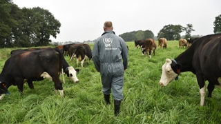 Aux Pays-Bas, le prix du lait moyen est de 410 €/t en octobre 2023. Aux Pays-Bas, le prix du lait moyen est de 410 €/t en octobre 2023.