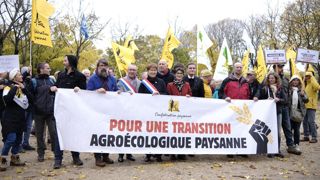 Les manifestant tentent de mettre la pression avant le passage du texte au Sénat.