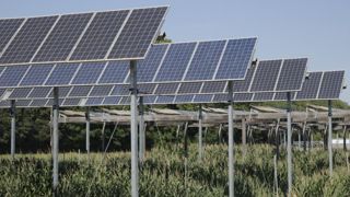 Le 14 novembre 2023, la commission départementale de préservation des espaces naturels, agricoles et forestiers (CDPenaf) a tranché en faveur du projet agrivoltaïque Terr'Arbouts (Landes). Le 14 novembre 2023, la commission départementale de préservation des espaces naturels, agricoles et forestiers (CDPenaf) a tranché en faveur du projet agrivoltaïque Terr'Arbouts (Landes).