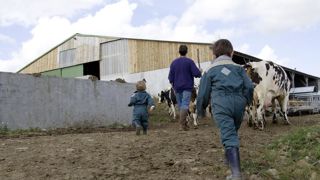 Le contact précoce des enfants avec le lait cru mais aussi les animaux formerait un cocktail parfait pour un système immunitaire équilibré. Le contact précoce des enfants avec le lait cru mais aussi les animaux formerait un cocktail parfait pour un système immunitaire équilibré.